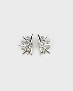 Сережки